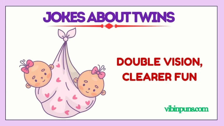 jokes about twins