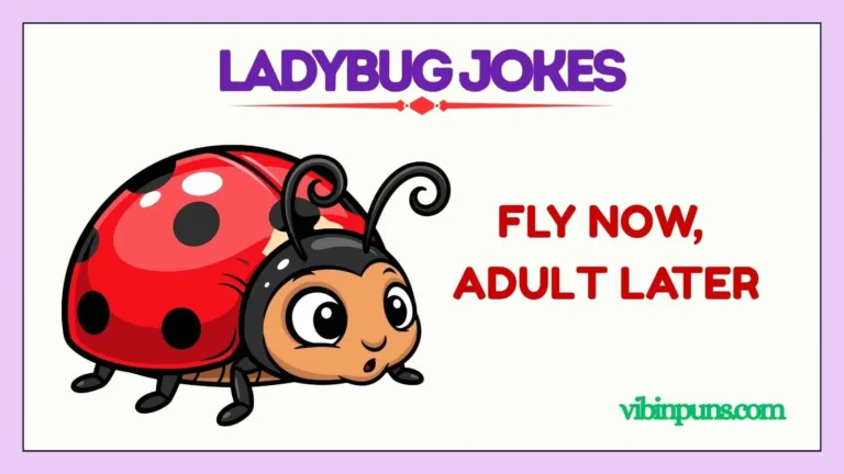 ladybug jokes